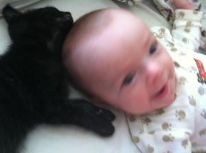 Babies and kittens... I mean, C'mon!