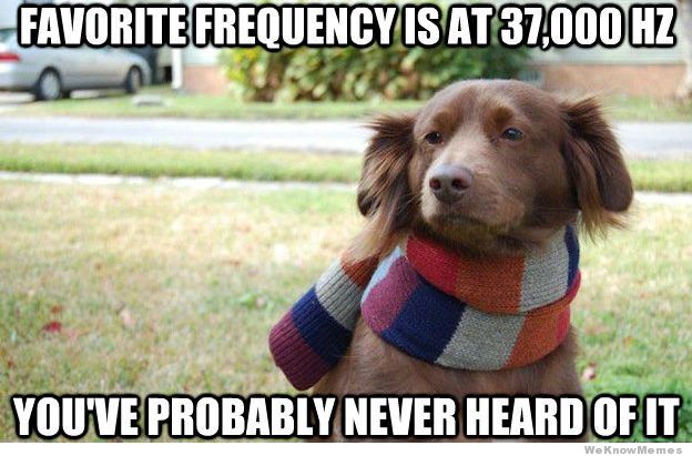 hipster-dogs-favorite-frequency.jpg